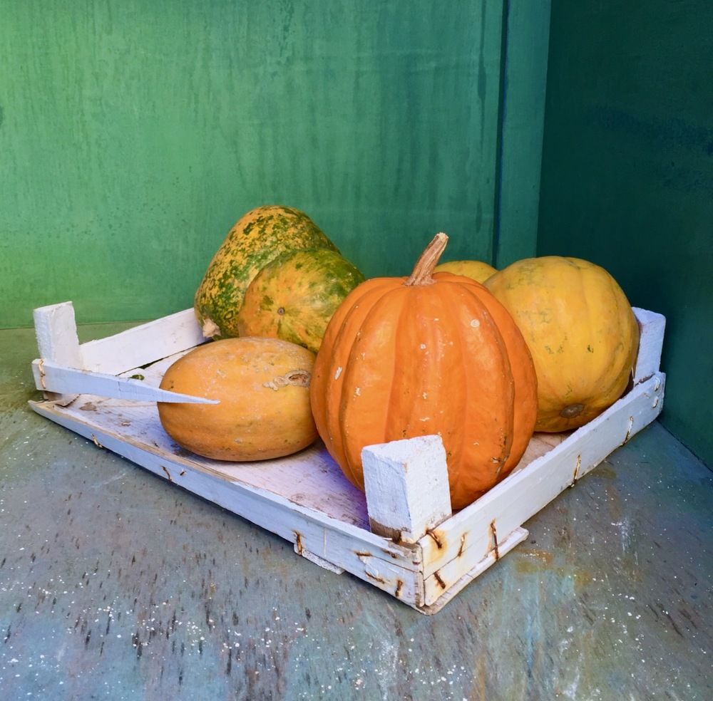 Photograph by Ahmet Aka