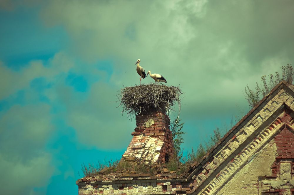 It's nice to be home