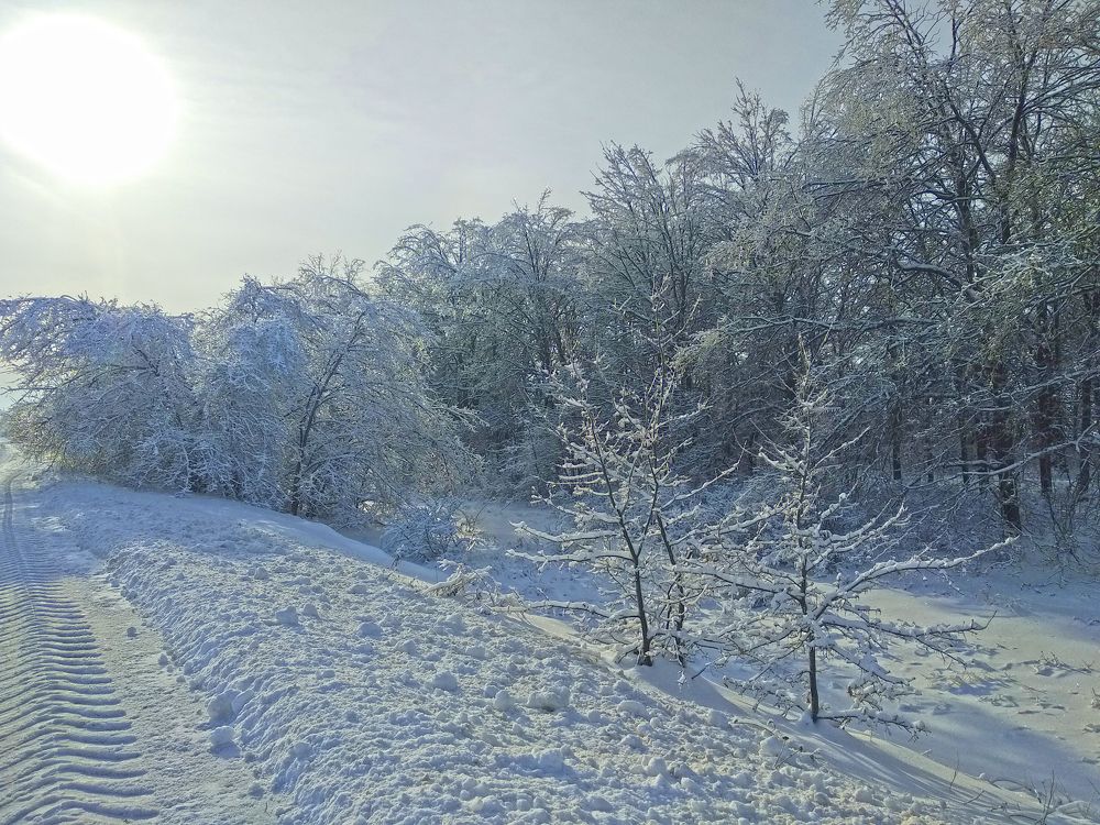 Photograph by Iren Gavrikova