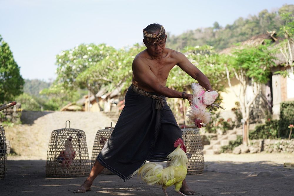 Photograph by Arik S Mintorogo