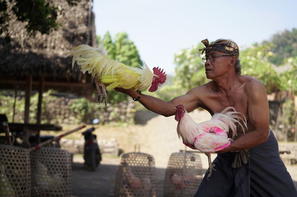 Photograph by Arik S Mintorogo