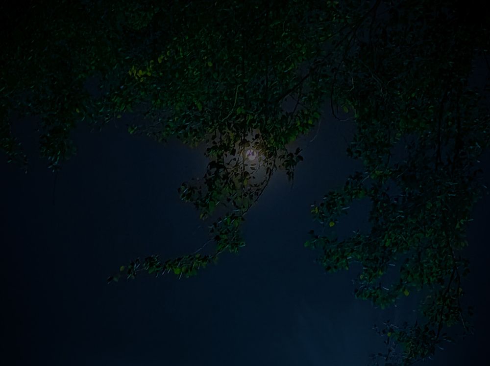 Photo #5820297