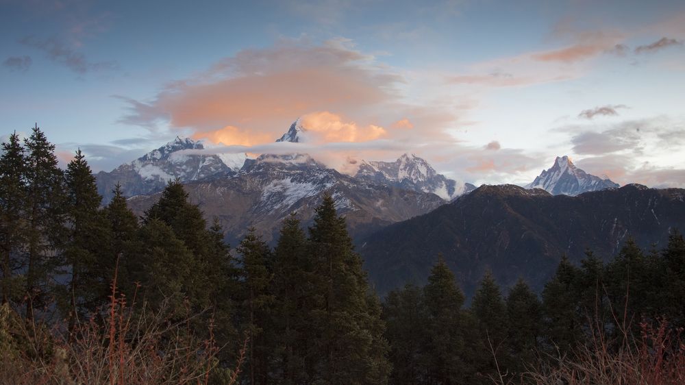 Photograph by Bimsara De Alwis