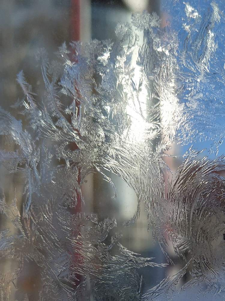 Photograph by Елена Шафикова