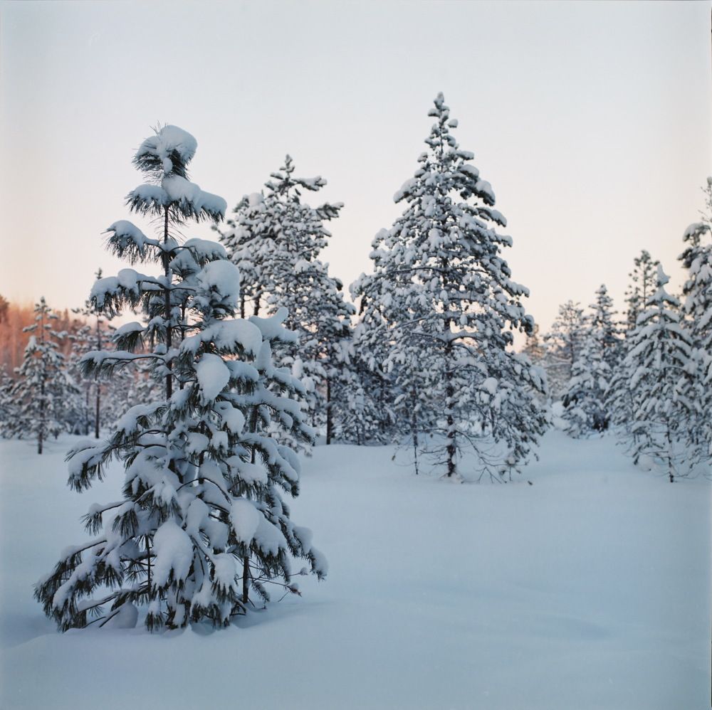 Photograph by Алексанр Приезжев