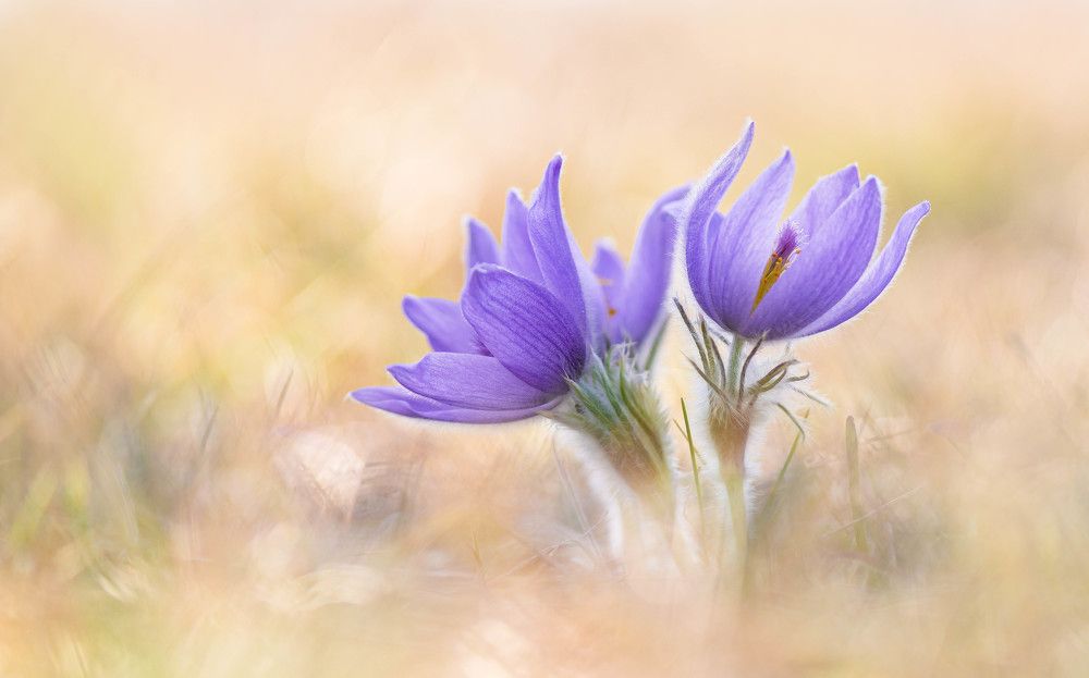 Фотография автора Andreas Vomacka