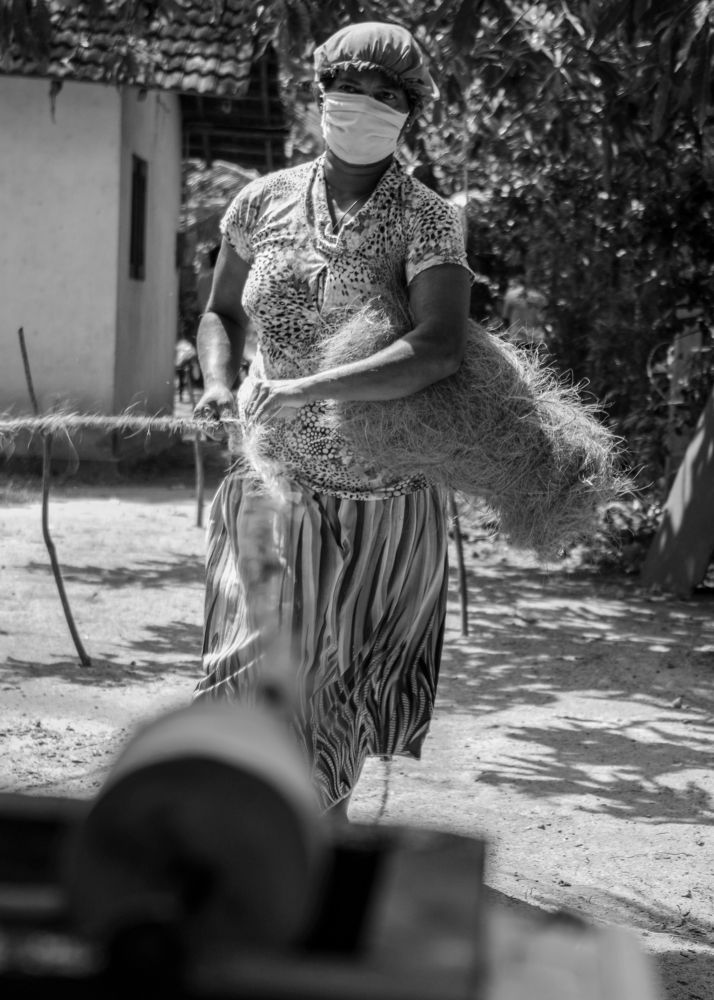 Photograph by Rajapaksha Vishwa