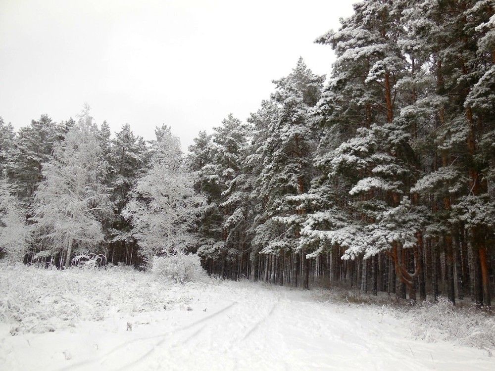 Photograph by Татьяна Иваненкова