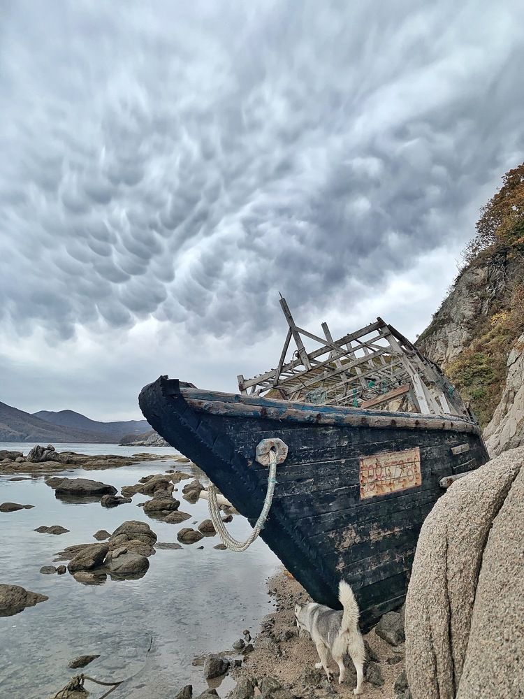 Photograph by Каролина Козина