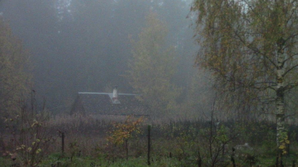 Photograph by Ирина Степановна Азаренкова