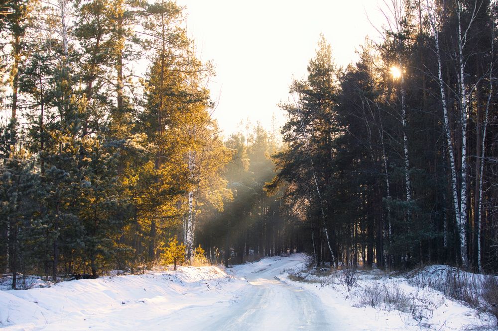 Photograph by Dasha Zueva