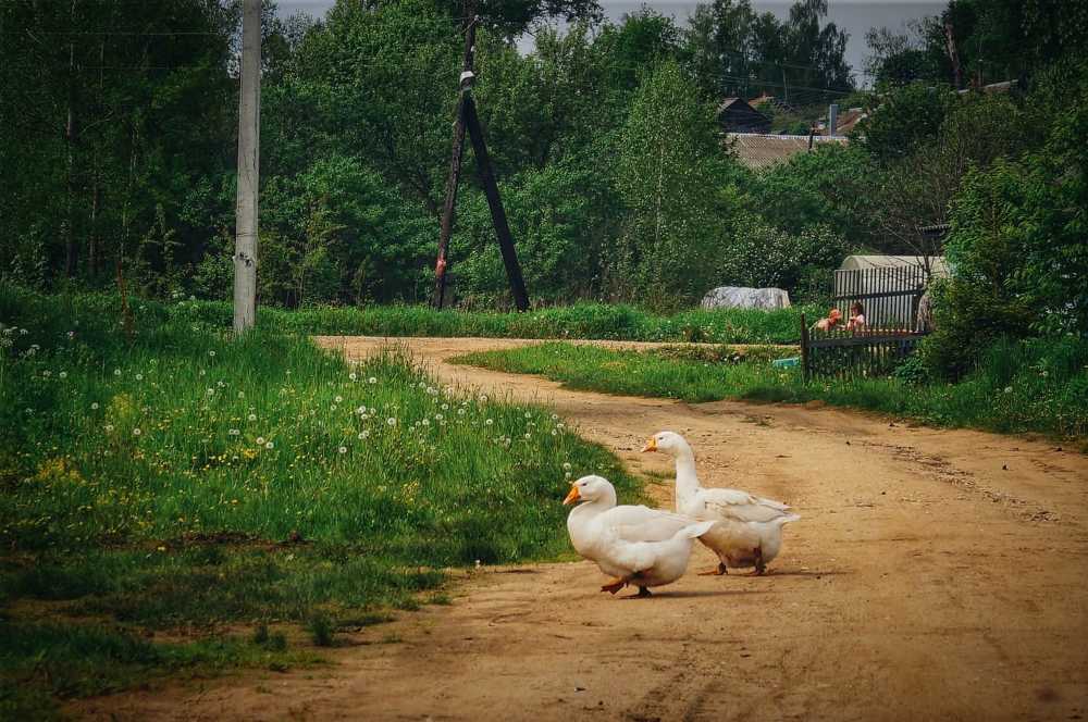 Photograph by Анна Каменева