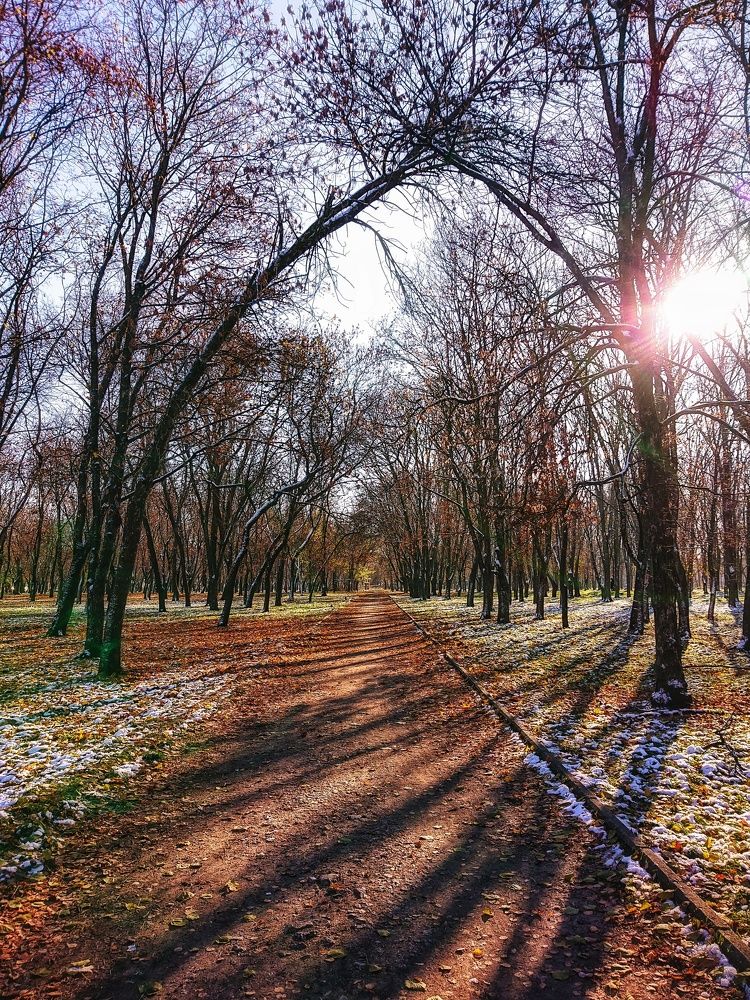 Photograph by Виталий Бокиев