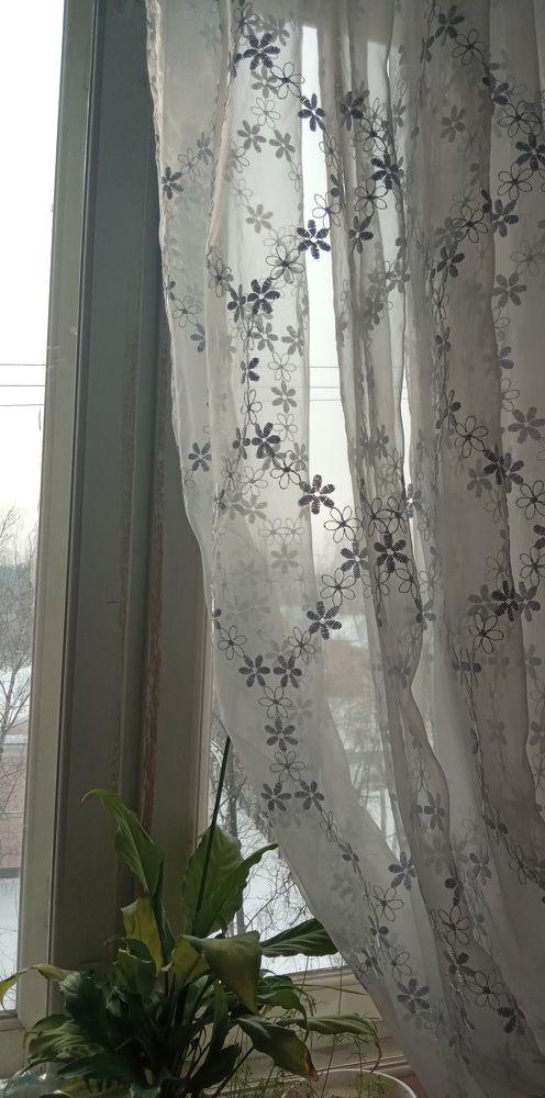 Фотография автора Людмила Зубова