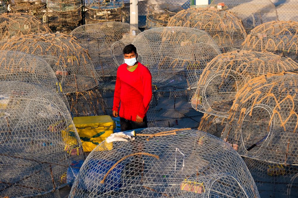 Photograph by Abdul hameed Thahir