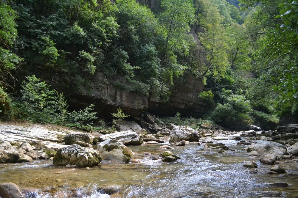 Photograph by Даша Камардина