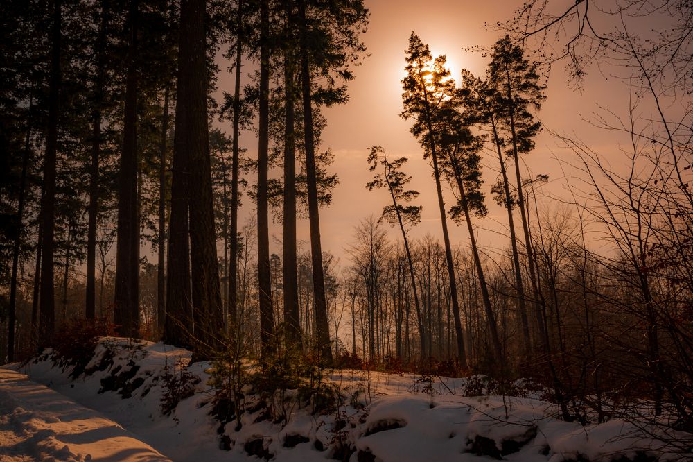 Фотография автора Marek Hausmann