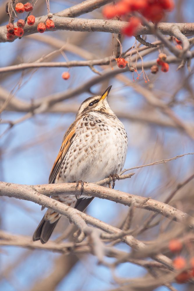 Photograph by Анастасия Мирошникова
