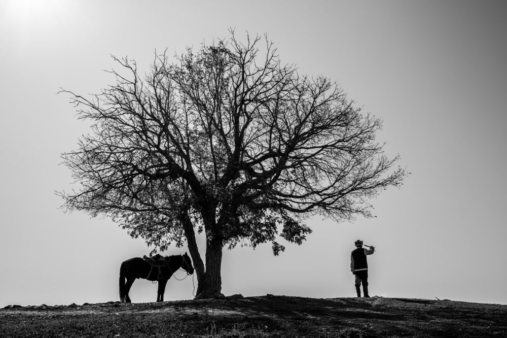 Фотография автора Kanat Mynbayev