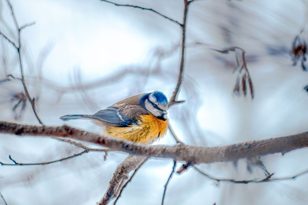 Photograph by Александр Соловьев