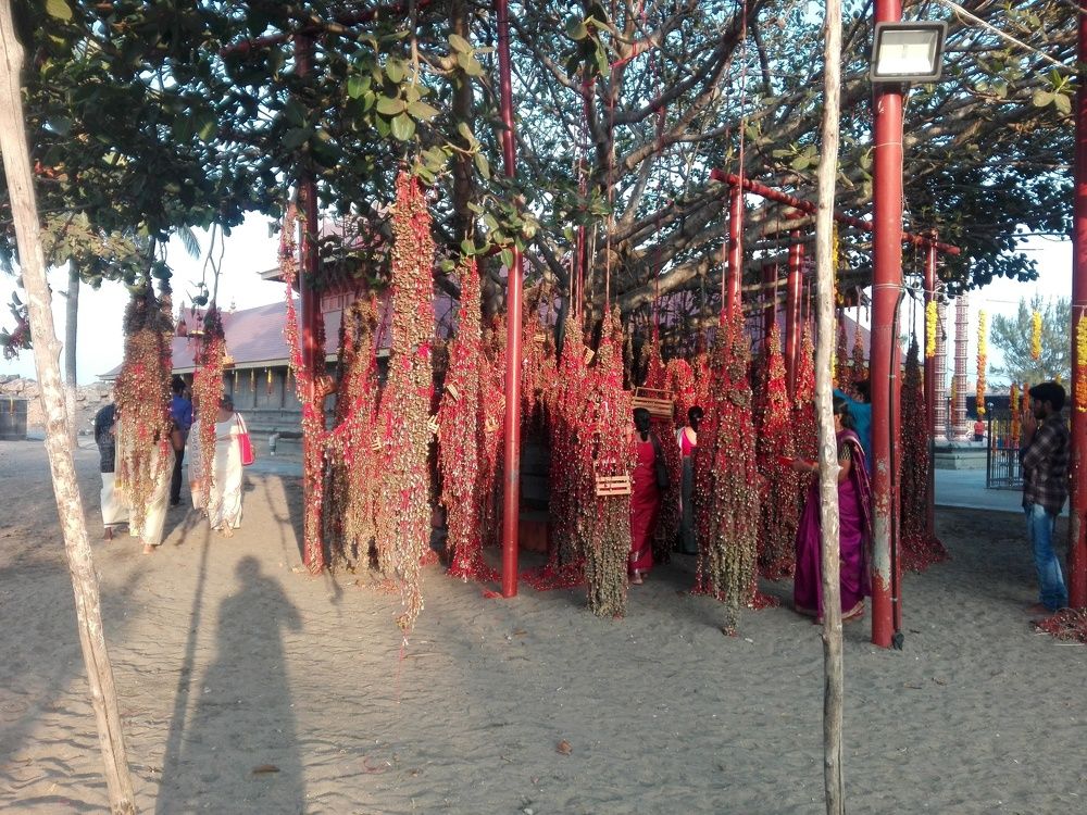 Photograph by Harikrishna j Janardhananpillai