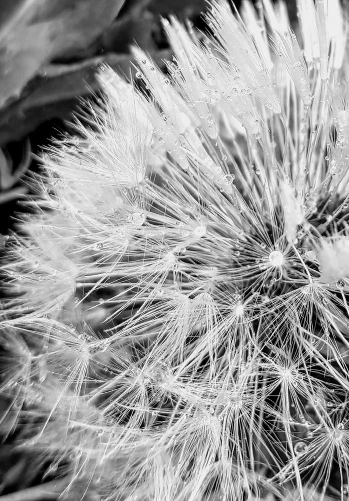 Photograph by Helen Seleznova