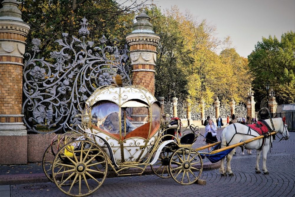 Photograph by Марина Безенкина