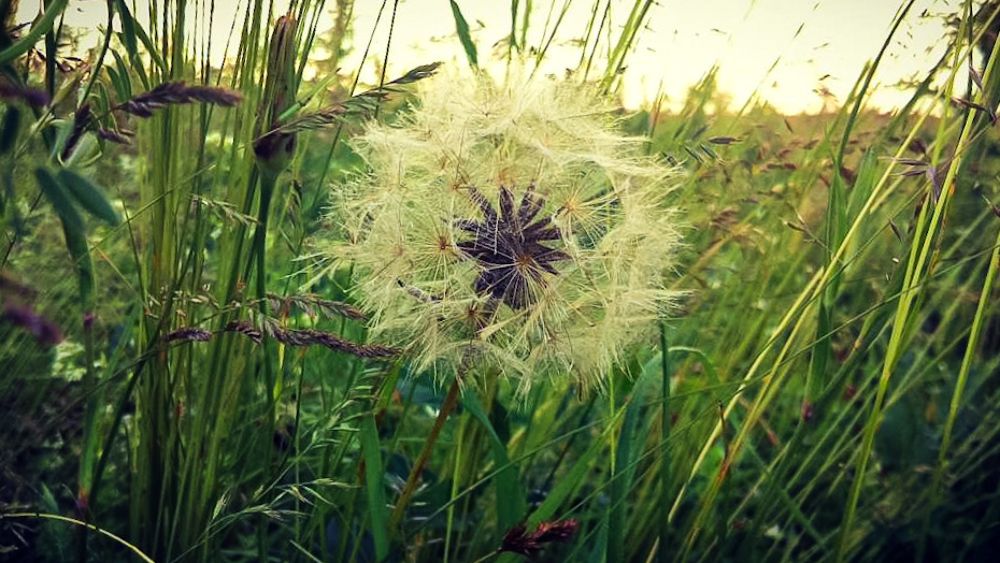 Photograph by Анжелика Короткова