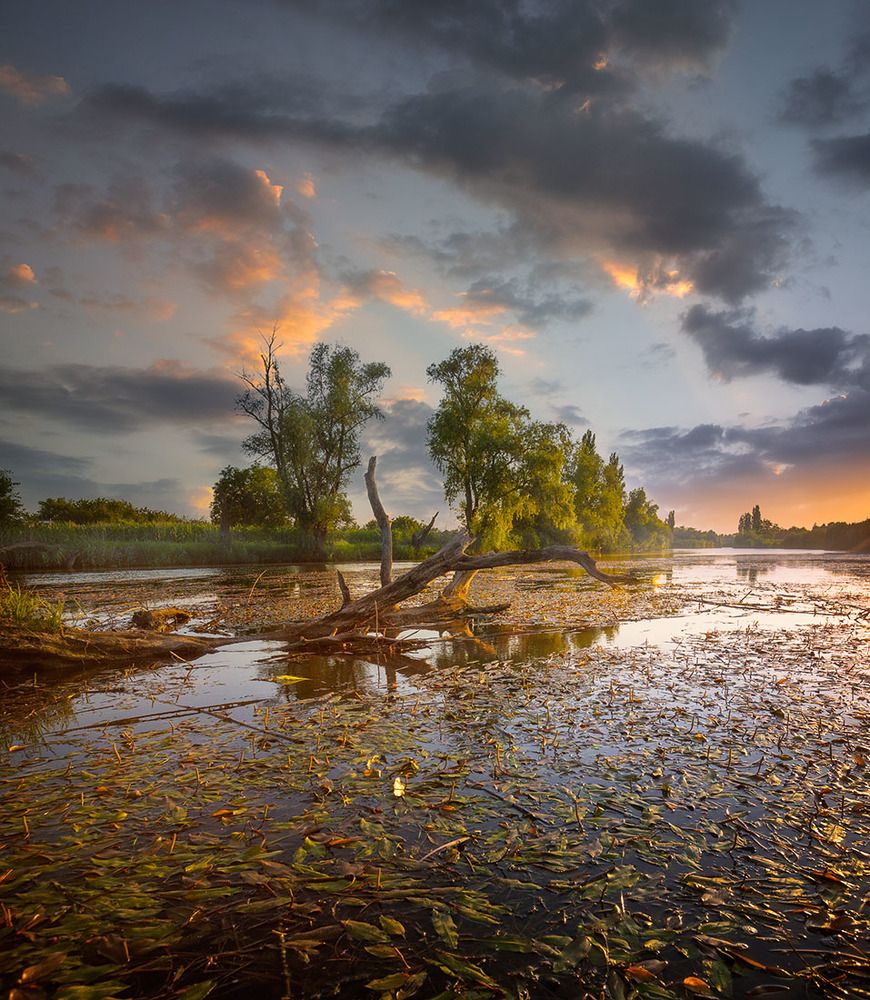 Photograph by Александр Костенко