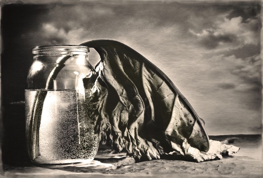 Фотография автора Виктор Кириллов