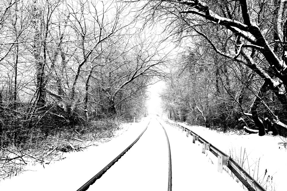 Photograph by Геннадий Сажин