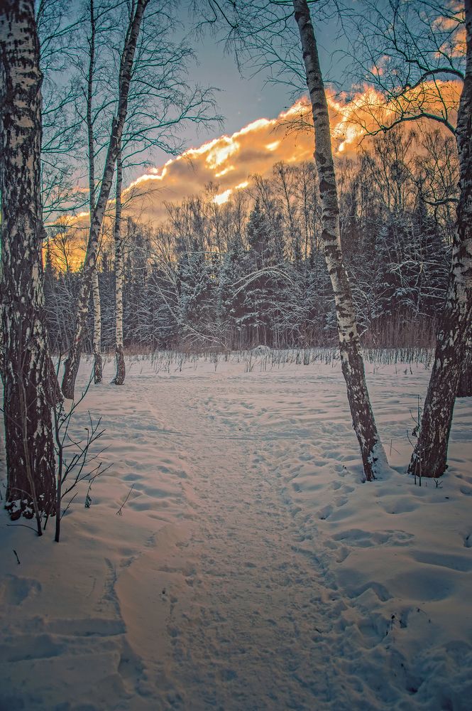 Photograph by Олег Ващилко