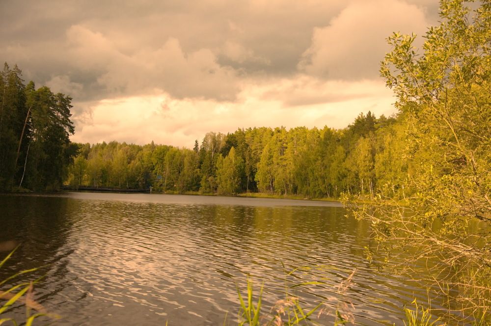 Photograph by vladimir