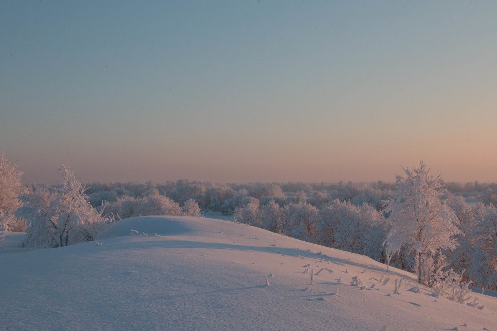 Photograph by Александр Трифанов