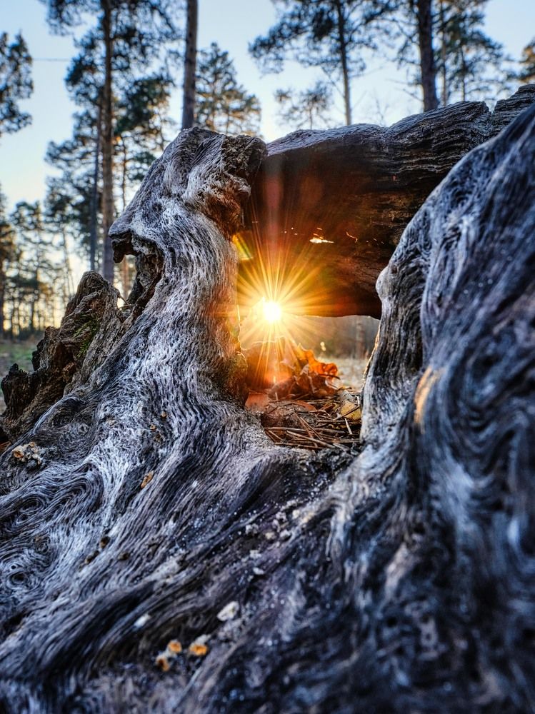 Photograph by Александр