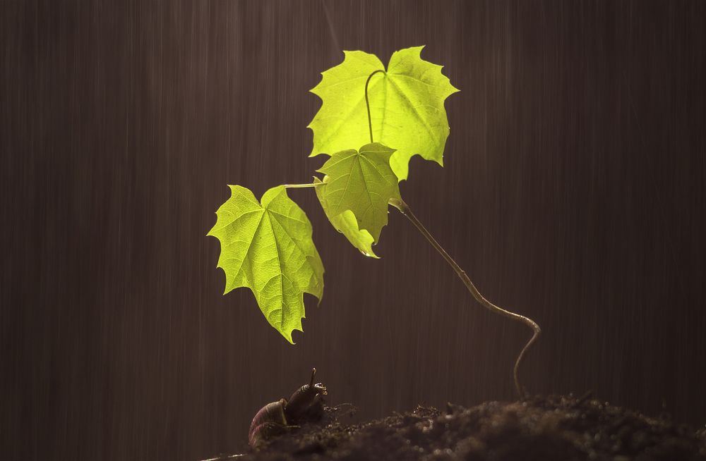 Photograph by Максим Вышарь