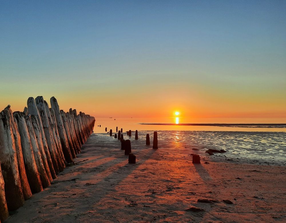 Photograph by Ольга Шаньгина