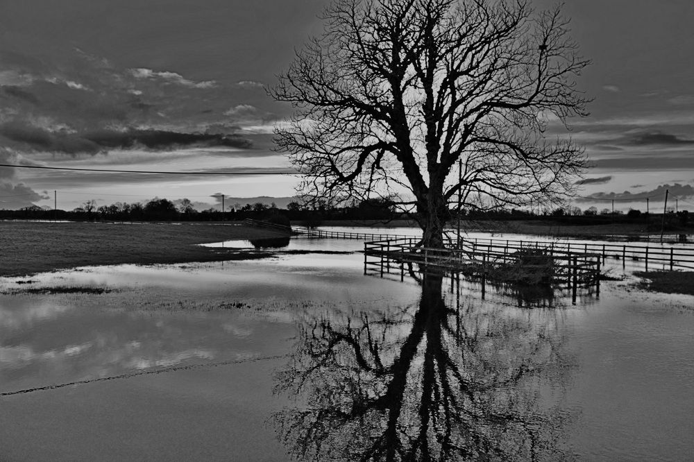 Photograph by Peter Hayes