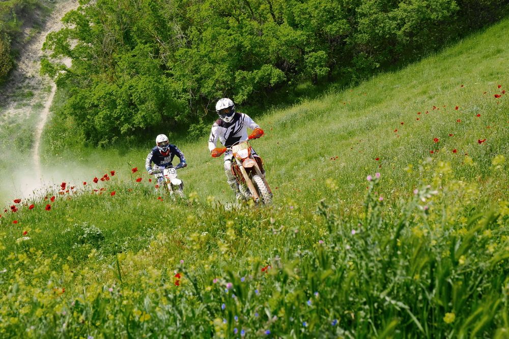 Photograph by Алексей Мордвишин