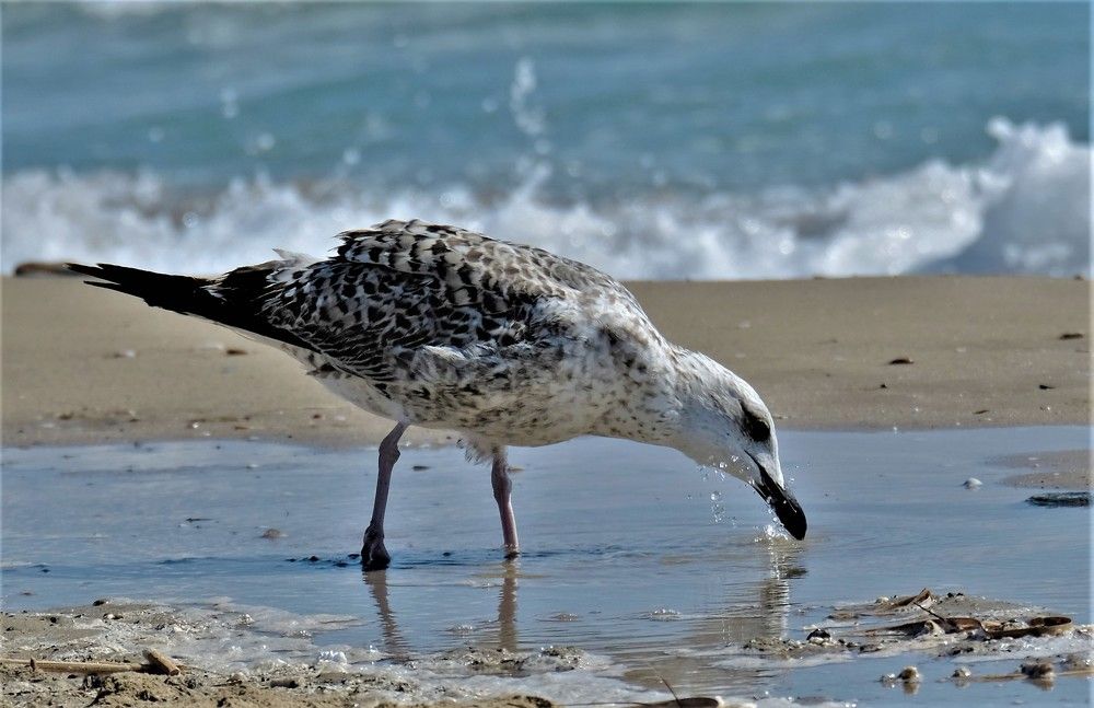 Photograph by Effie Zacharia