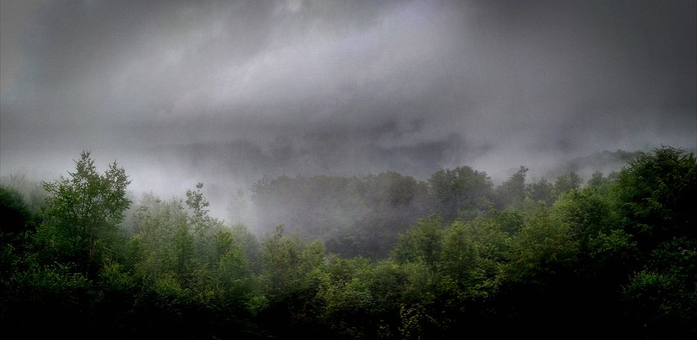 Седая пелена...