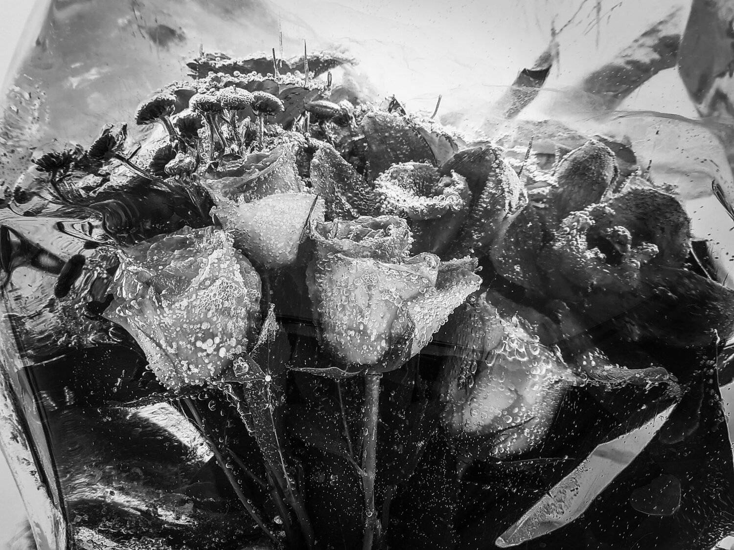 Photo #5820902