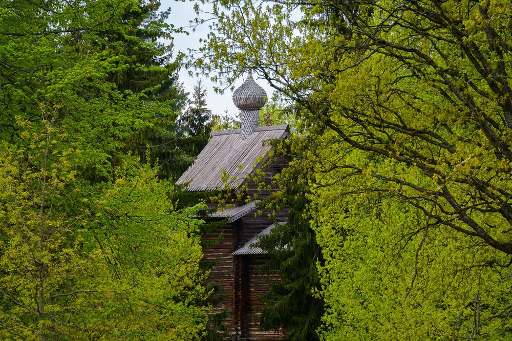 Photograph by Алексей