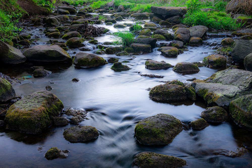 Photograph by Sergejs Demjanenko