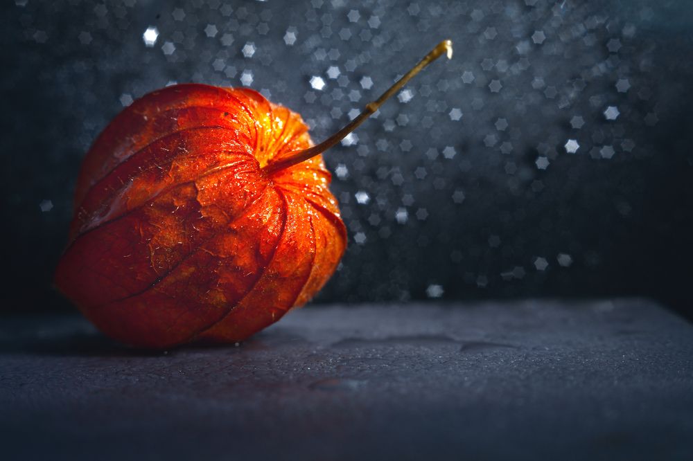 Photograph by victoria chaikova