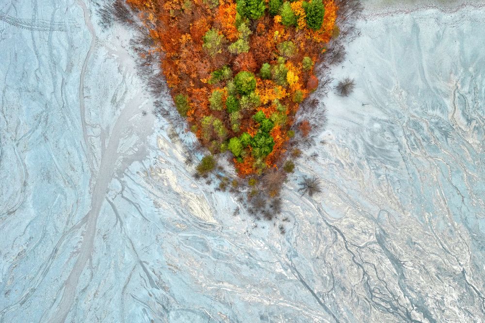 Ecological Surrealism