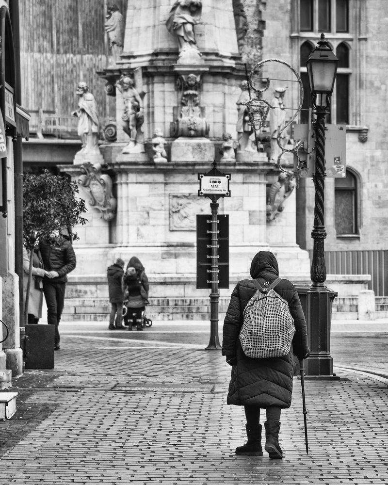 Photograph by Zoltán Müller