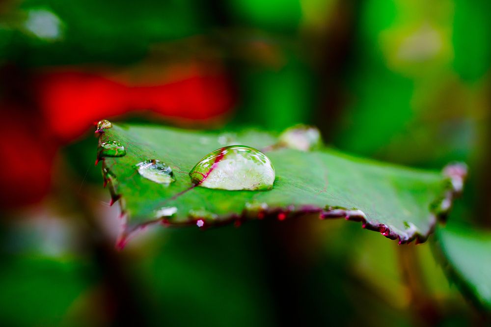 Photograph by Василь Поточний