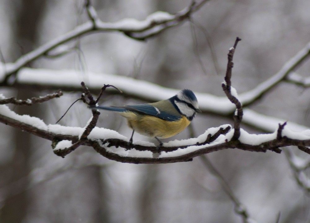 Photograph by Полина Белокопытова