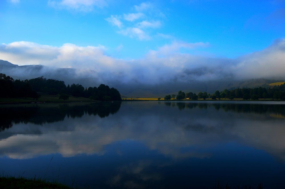 Photograph by Garth Nicholls